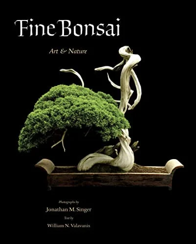 americanbookwarehouse10-864028
