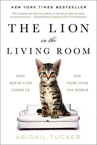 americanbookwarehouse10-873419