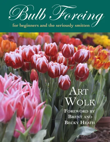 americanbookwarehouse10-890236