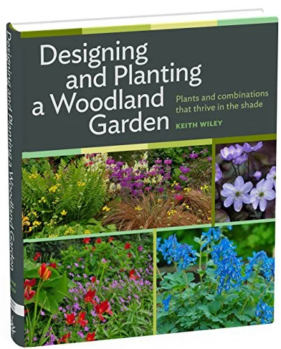 americanbookwarehouse10-900239