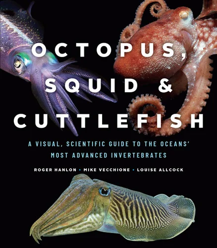 americanbookwarehouse10-902582