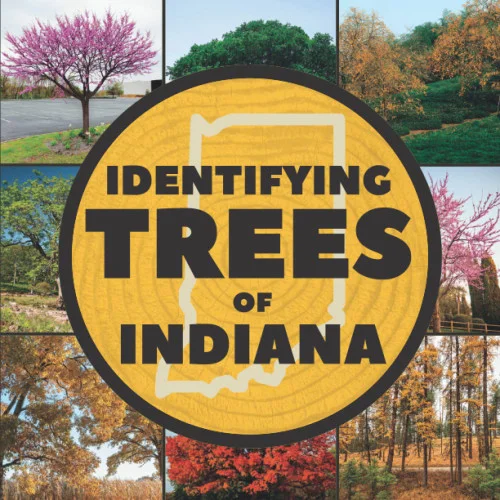 americanbookwarehouse11-1108833