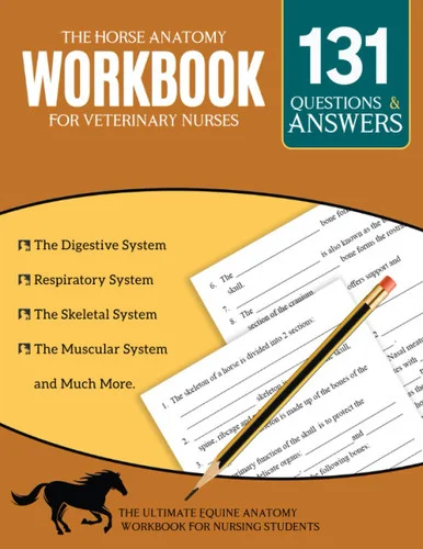 americanbookwarehouse11-1113141