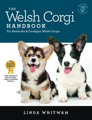 americanbookwarehouse11-1115265