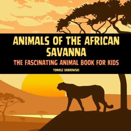 americanbookwarehouse11-1124370