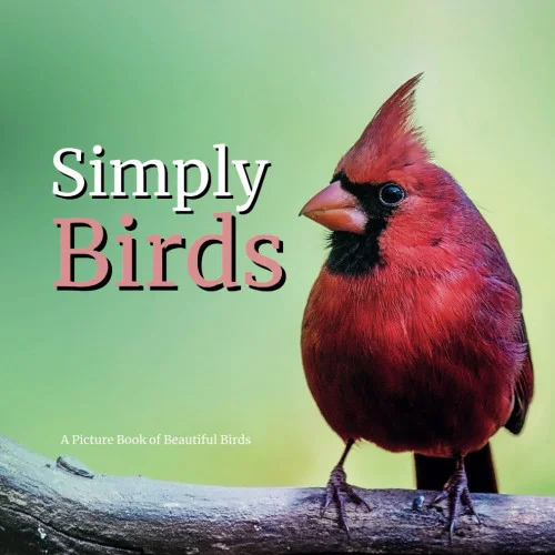 americanbookwarehouse11-1144063
