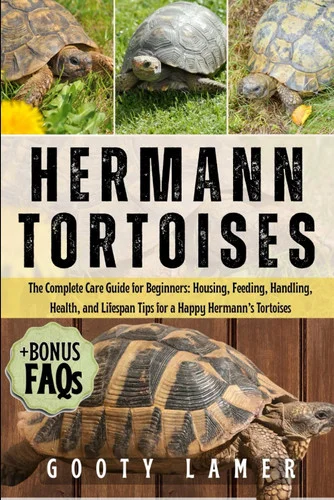 americanbookwarehouse12-1789633