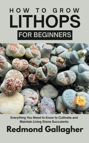 americanbookwarehouse12-1795646
