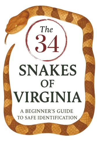 americanbookwarehouse12-1809739
