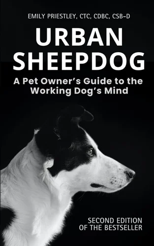 americanbookwarehouse12-1811011
