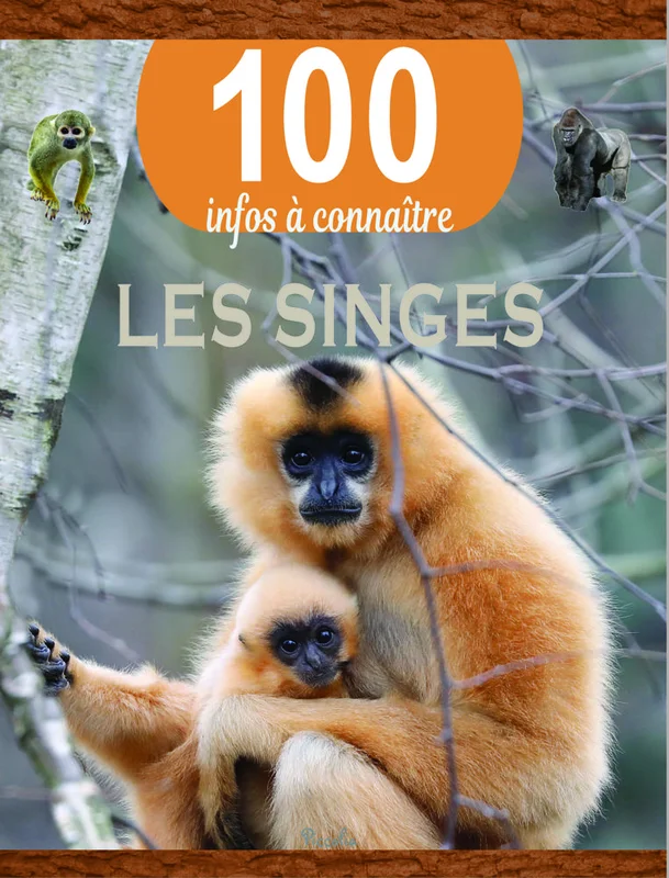 antoineonline9-1364105