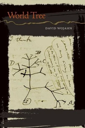bookcellarinc5-1572400