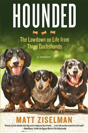 bookcellarinc6-1671258