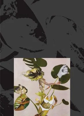 discountmags11-1472199