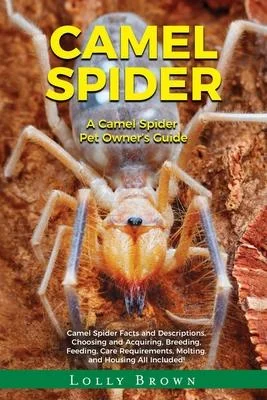 discountmags14-1704196