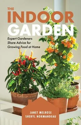 discountmags14-1767418