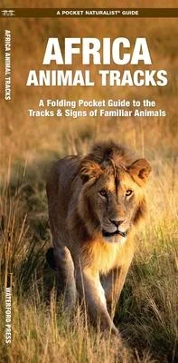 discountmags15-1710402