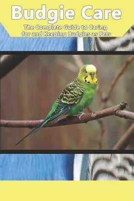 discountmags8-1155439