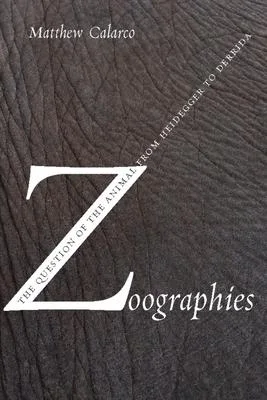 discountmags9-1296130