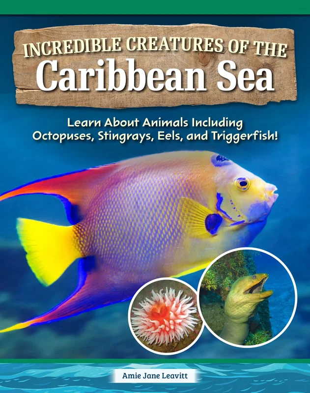 tatteredcover171188934