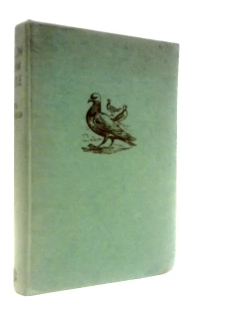 worldofbooks19-1559187