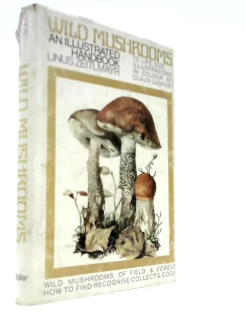 worldofbooks19-1567846